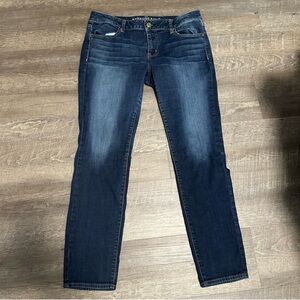 American Eagle Outfitters Dark Blue Skinny Jeans